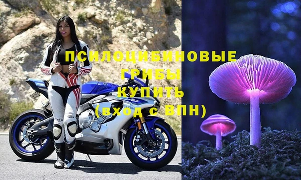 ГАЛЛЮЦИНОГЕННЫЕ ГРИБЫ Алзамай