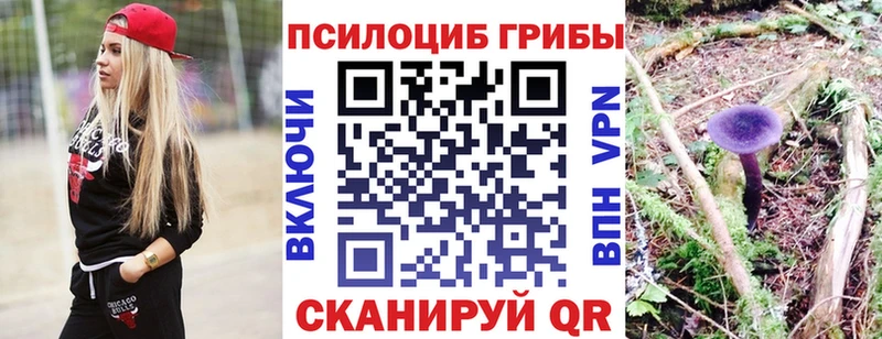где купить наркотик Учалы Галлюциногенные грибы мицелий